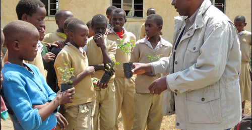 Contribution ALADFI à la plantation de palissandre